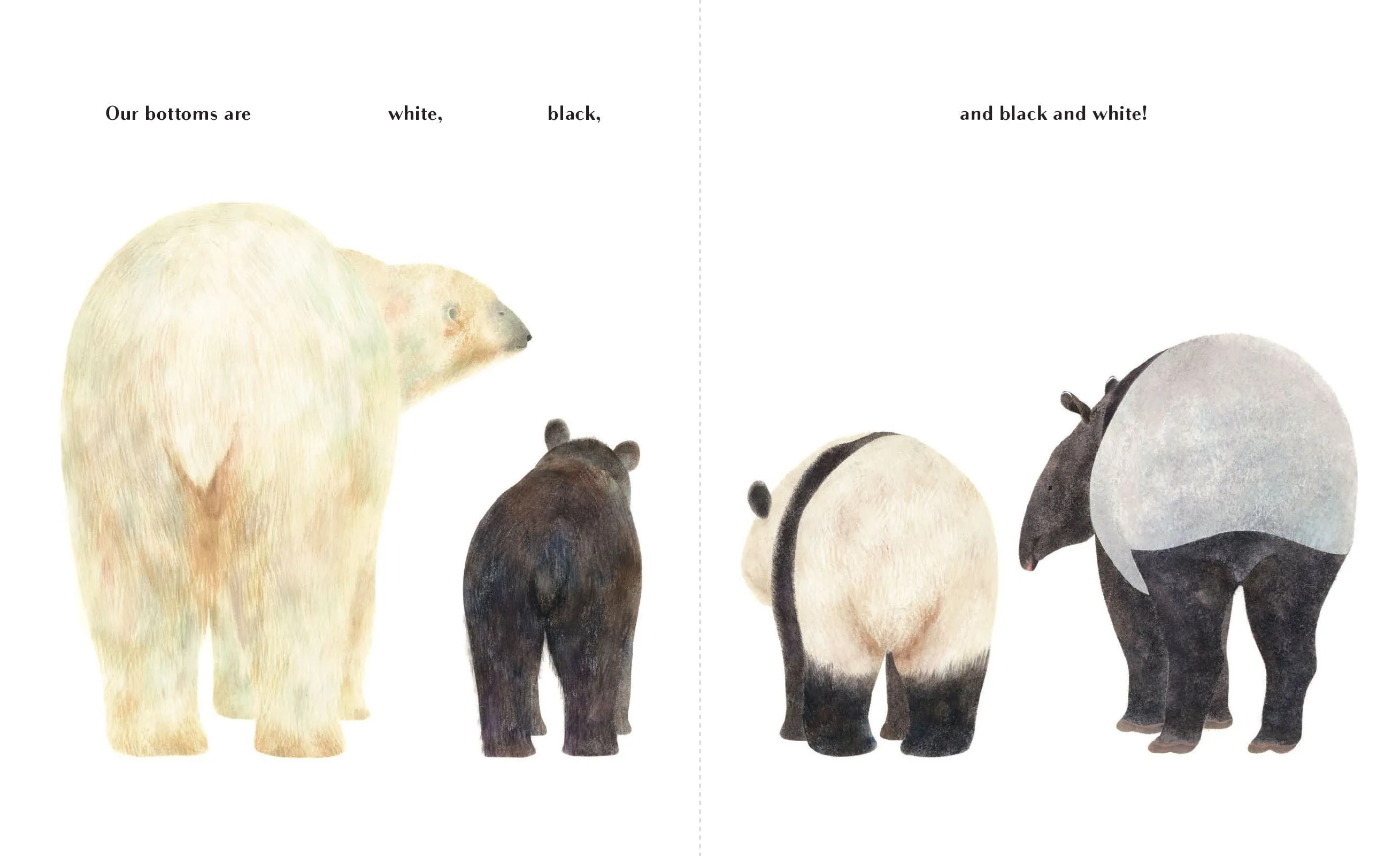 Book - Animals Brag About Their Bottoms