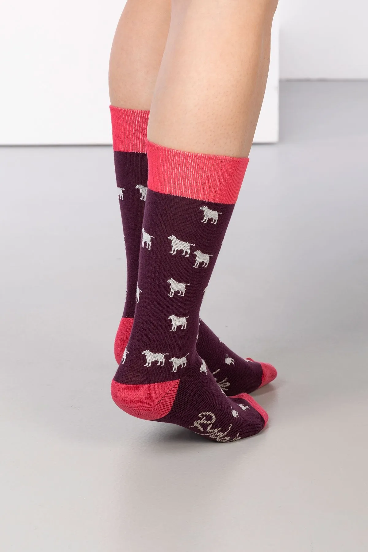 Ladies Wagging Dog Ankle Socks