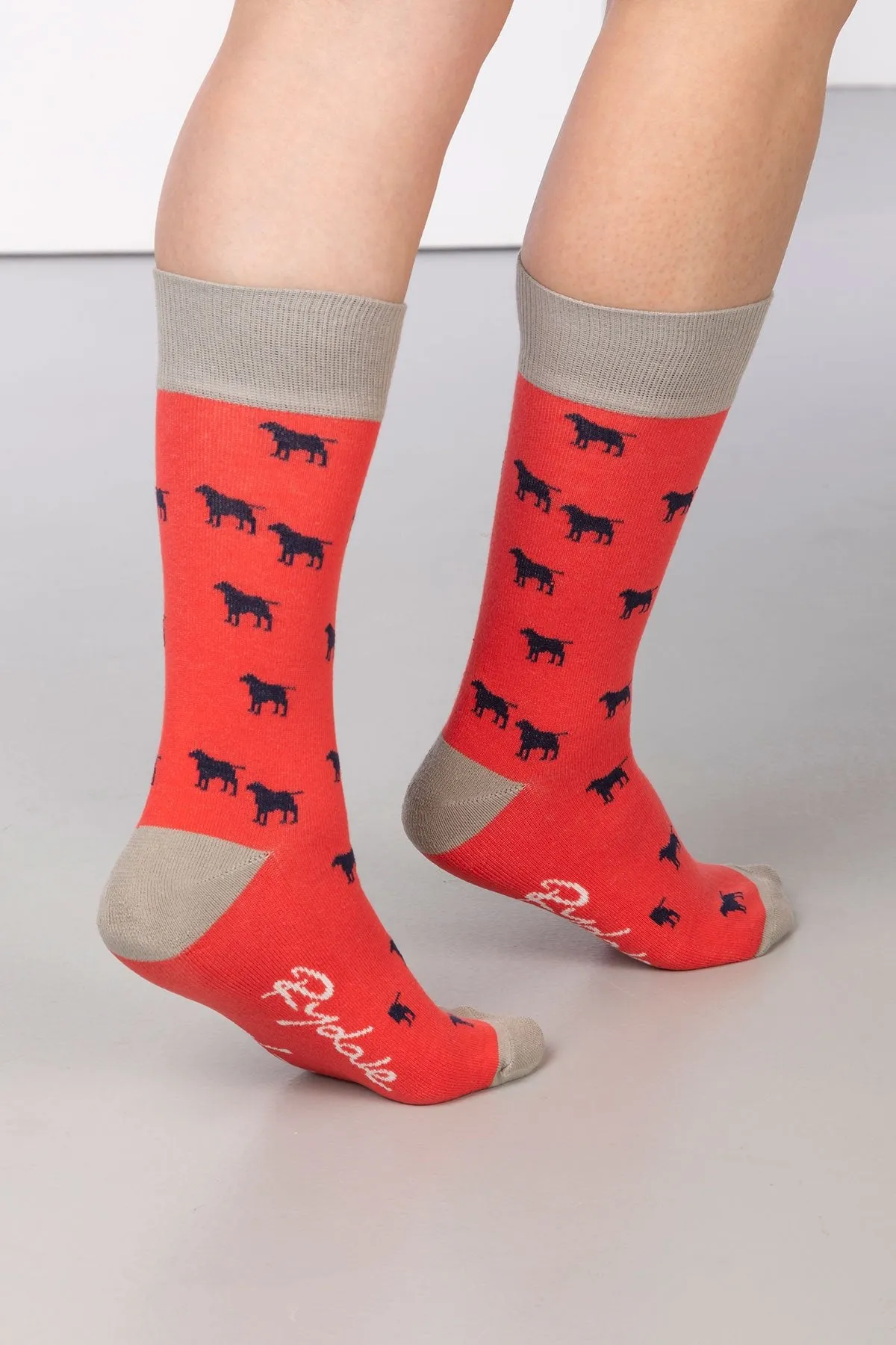 Ladies Wagging Dog Ankle Socks