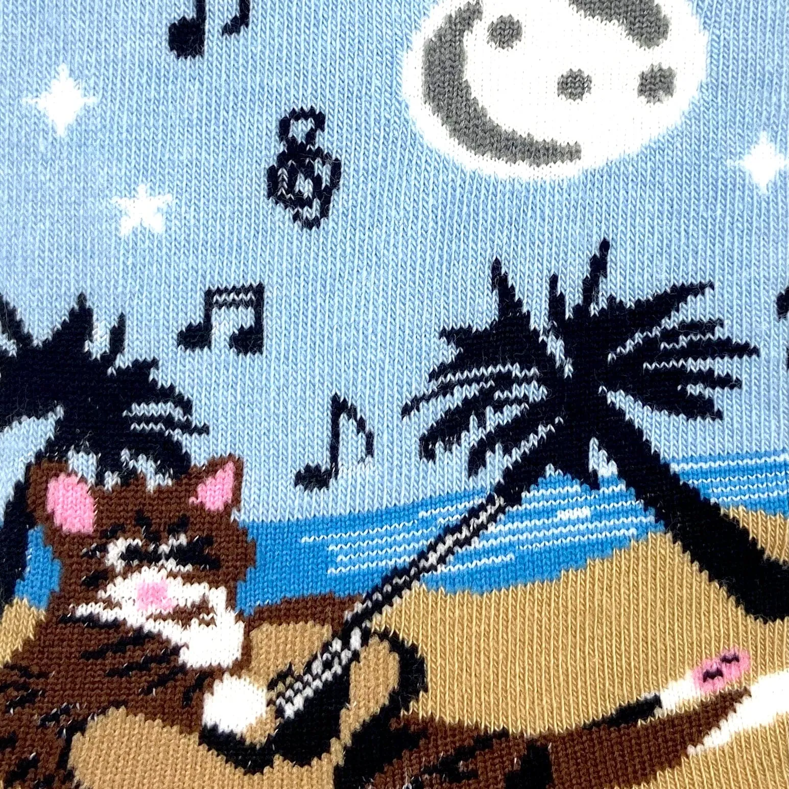 MEOW-SIC AT THE BEACH