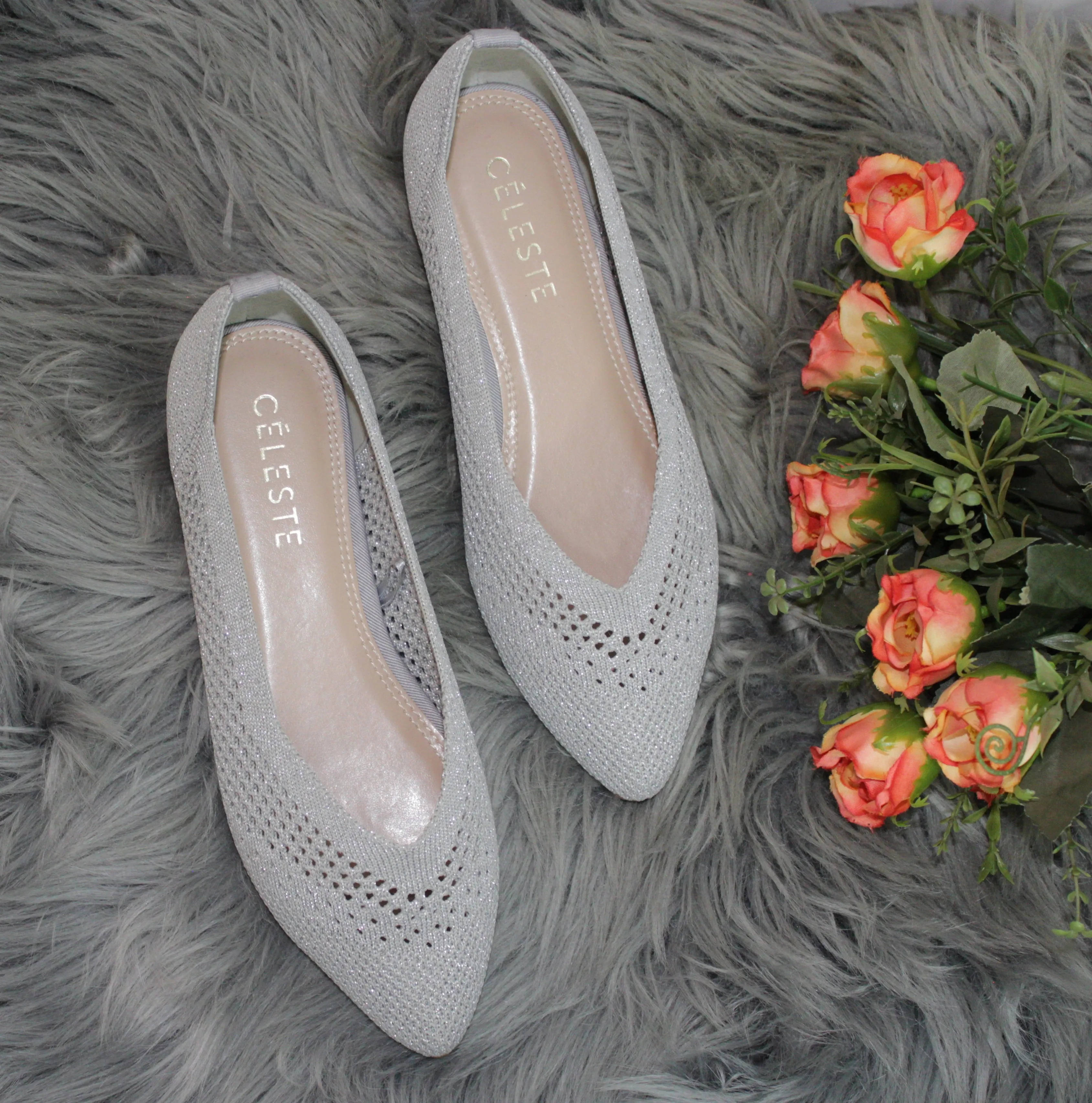 Silver flat shoe